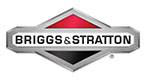 Briggs and Stratton